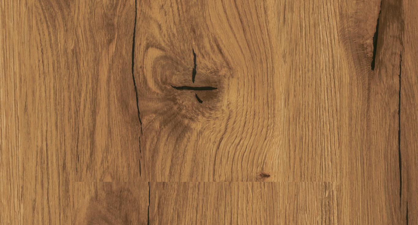 Dub History / sedliacky dizajn 1593814