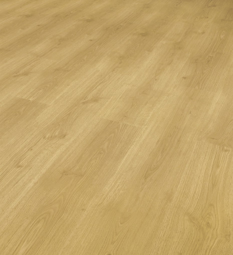 1675 Dub Spreewald - DOPREDAJ