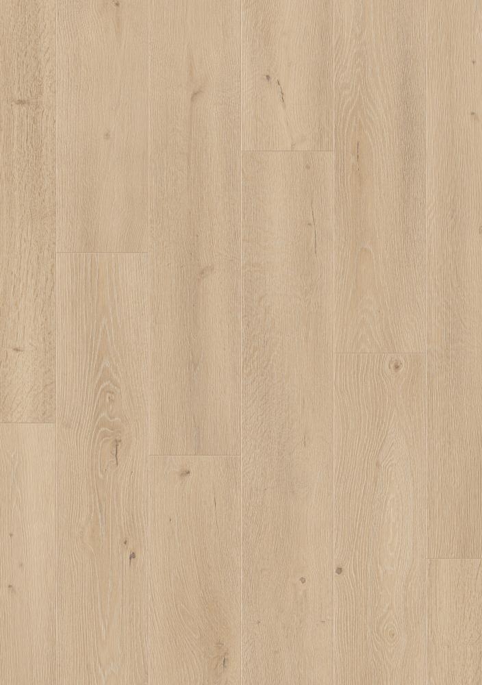 00514 Dub Kolumbijský / hydro - DOPREDAJ