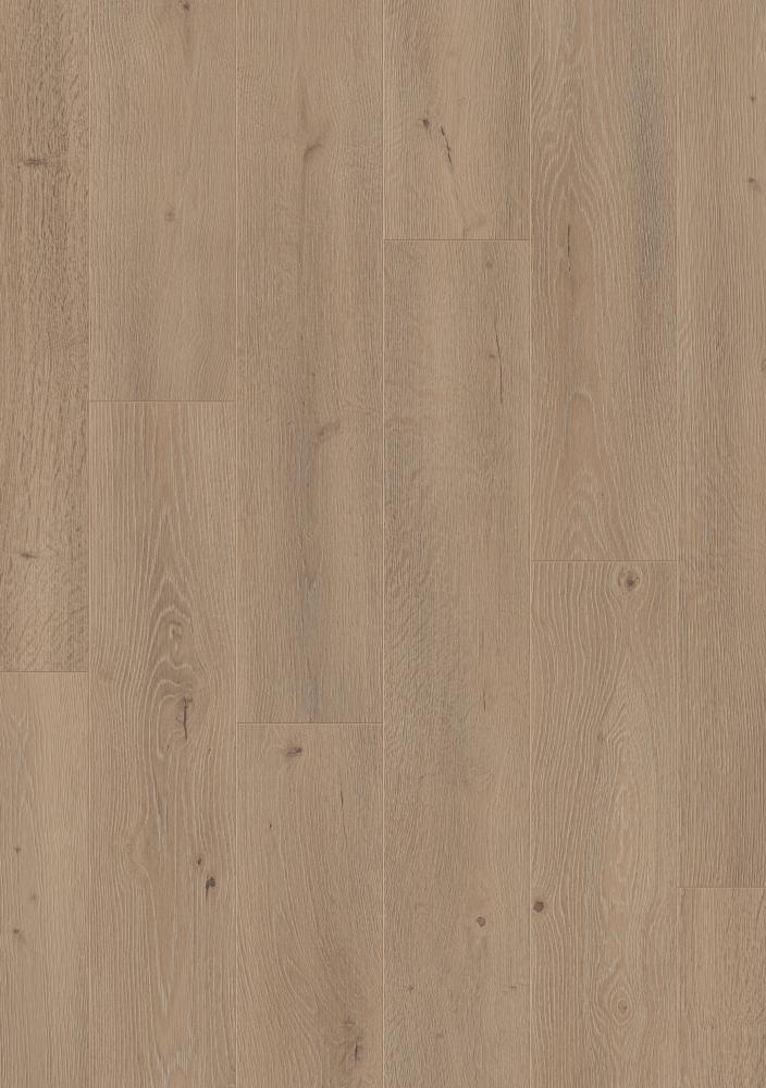 00515 Dub Amazonský / hydro - DOPREDAJ