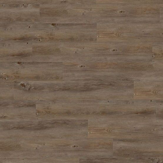 0359 Wild Oak / na lepenie