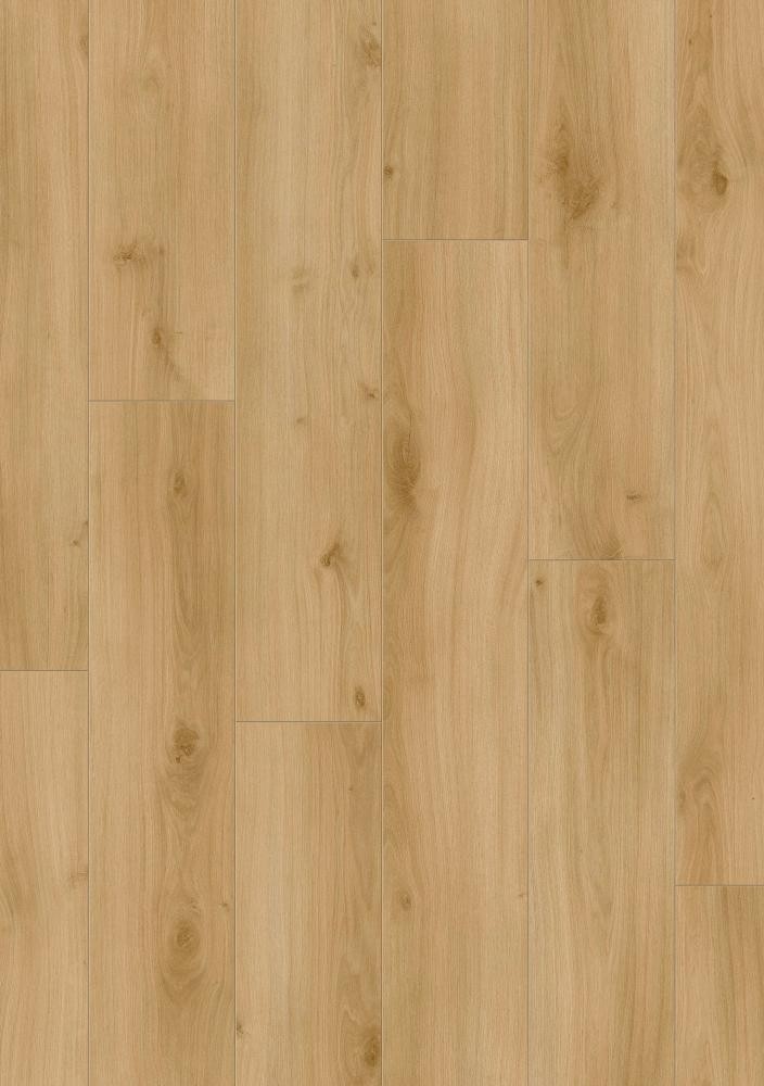 00320 Dub Rotan