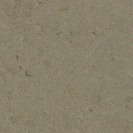 Champagner grey - DOPREDAJ