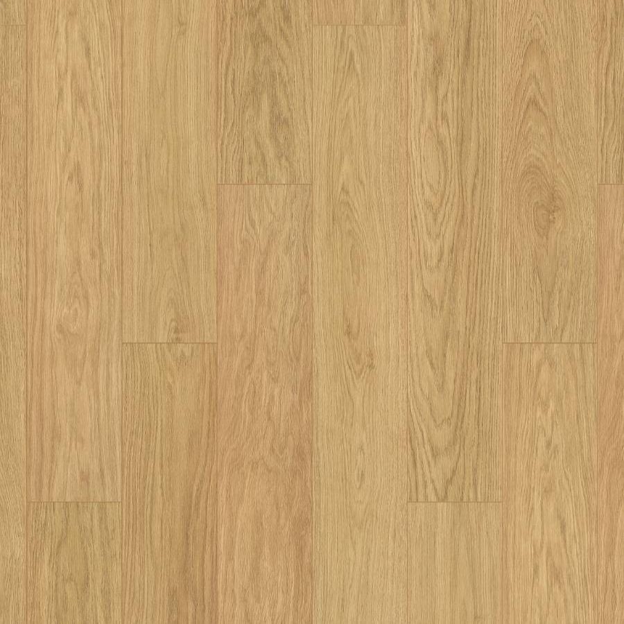 K629 Dub Gold Fiordaliso / Atlantic 7.0