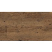 0461 Michigan / dlhý formát / na lepenie - DOPREDAJ