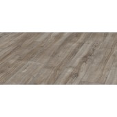 D3662 ER Dub Montmelo Silver