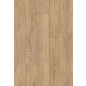 K2738 Dub Torro Cremona / Atlantic 8.0