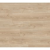 K485 Dub Natural Sterling - DOPREDAJ