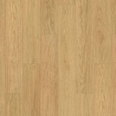 K629 Dub Gold Fiordaliso / Atlantic 7.0