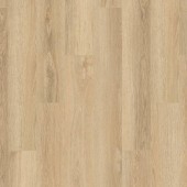 K652 Dub Cashew Montreux / Atlantic 7.0