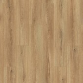 K654 Dub Sand Cantal / Atlantic 7.0