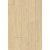 K845 Dub Hay Darcy / Atlantic 12.0