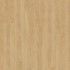 1458 Bohem Honey EIR / Virtuo 55 Rigid