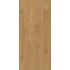 R081 HS Crescendo / 4V drážka 