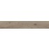 SP20 AS Dub Avis / design lamely