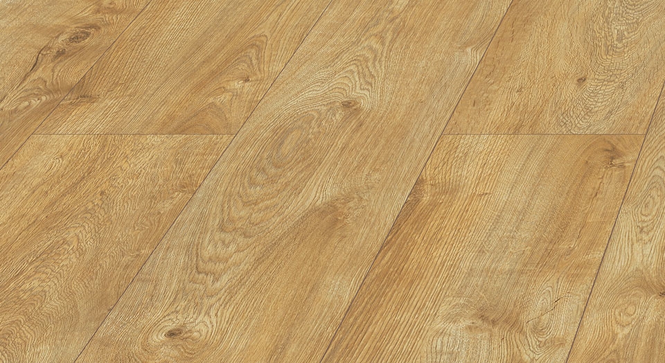 D 4582 Dub Oskar / 4V drážka