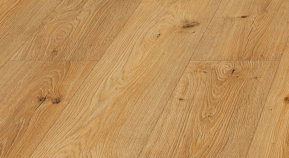 D 4589 Dub Dalia / 4V drážka