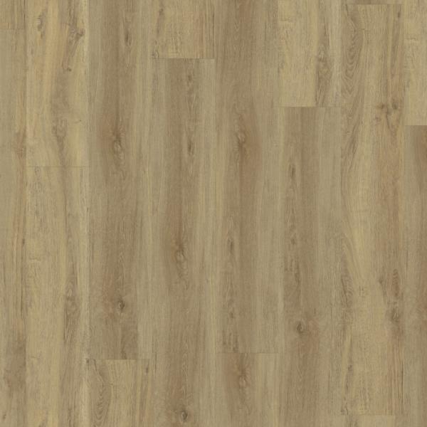 1025 Baita Medium / Virtuo 55 Rigid