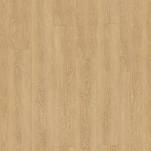 1458 Bohem Honey EIR / Virtuo 55 Rigid