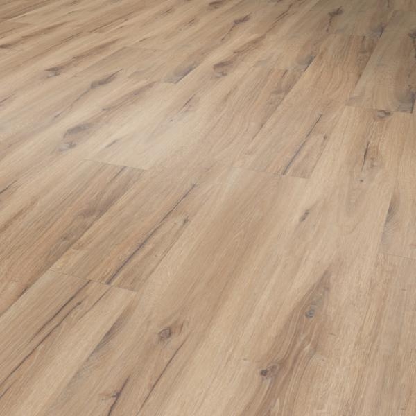 1455 Daintree Honey / Virtuo 55 Rigid - náhľad