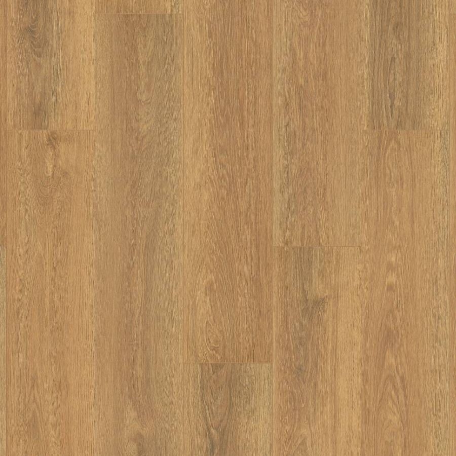 K649 Dub Sienna Montreux / Atlantic 7.0