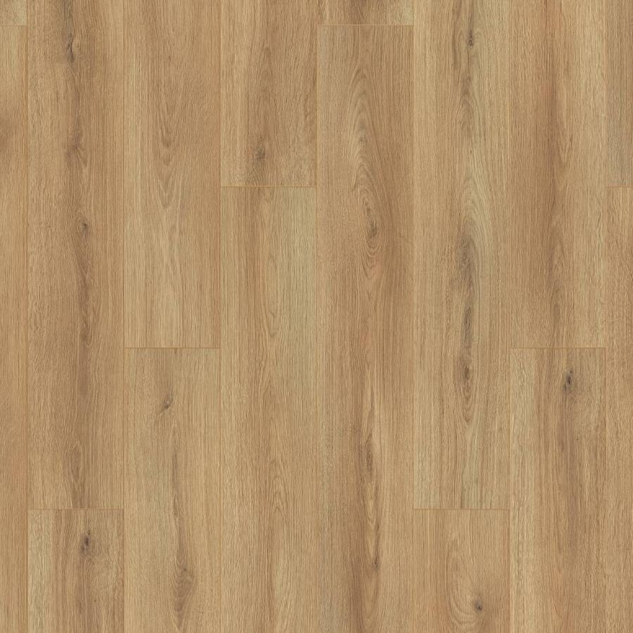 K654 Dub Sand Cantal / Atlantic 7.0
