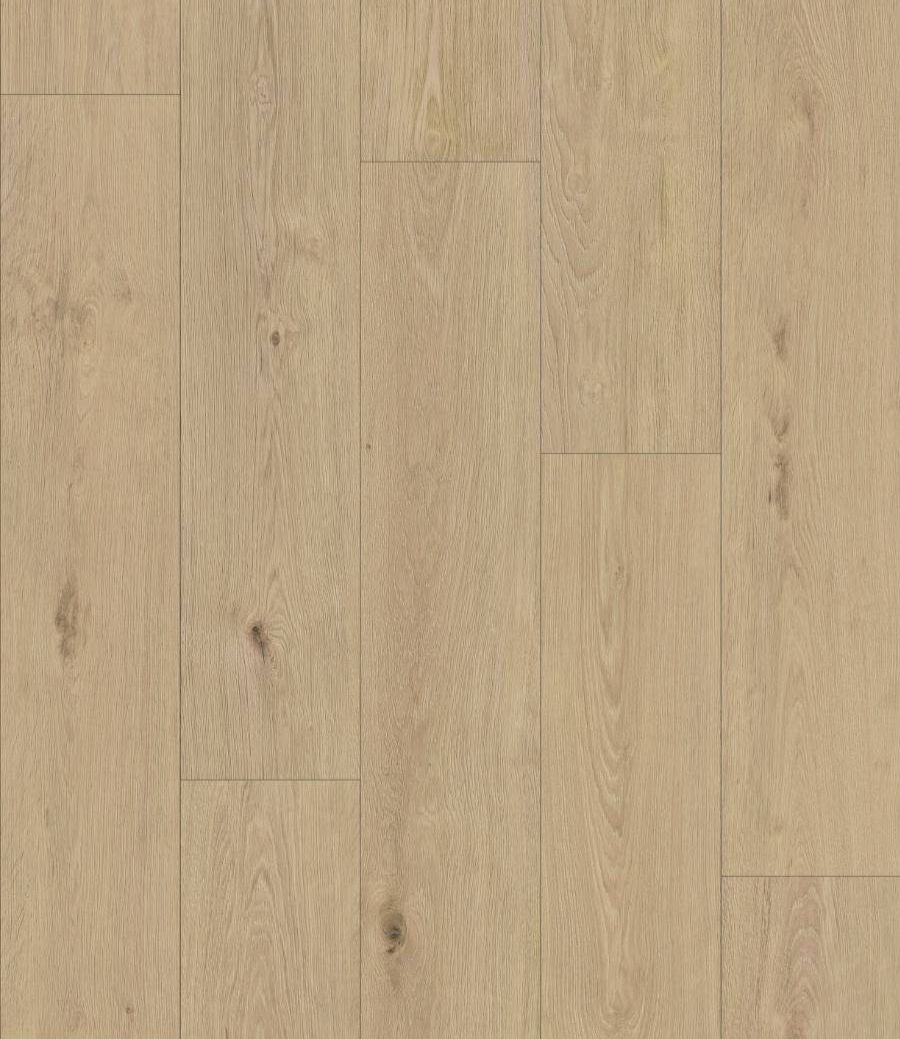 K847 Dub Blonde Montanara / Atlantic 8.0