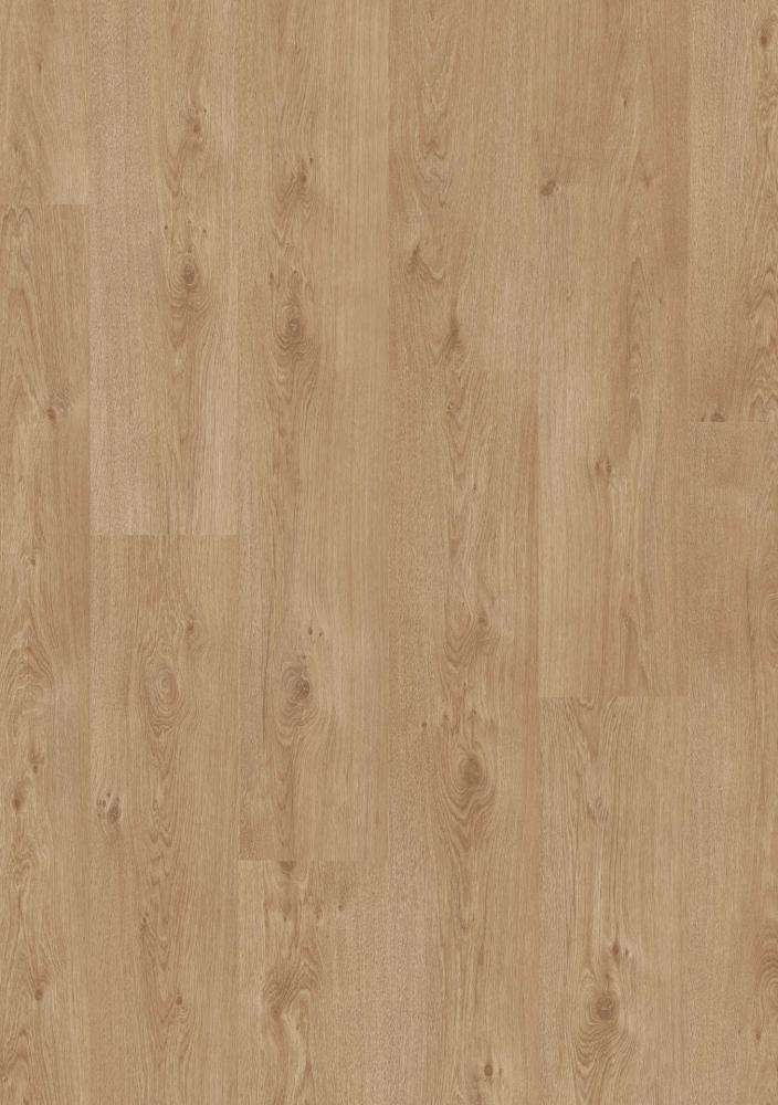 ORI00383 Dub prírodný