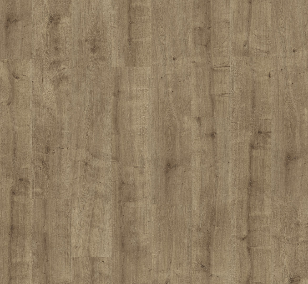 Dub Karamelový 1748176 - náhľad